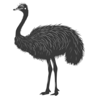 ai generado silueta avestruz animal negro color solamente lleno cuerpo png