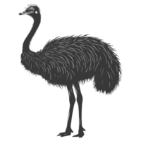 AI generated Silhouette ostrich animal black color only full body png