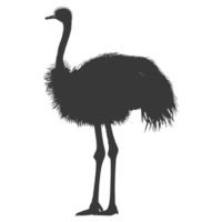 AI generated Silhouette ostrich animal black color only full body png