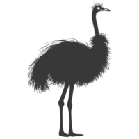 AI generated Silhouette ostrich animal black color only full body png