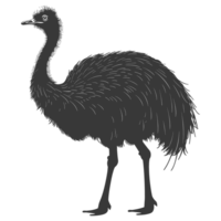 AI generated Silhouette ostrich animal black color only full body png