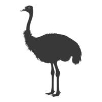 AI generated Silhouette ostrich animal black color only full body png