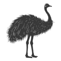 ai generado silueta avestruz animal negro color solamente lleno cuerpo png
