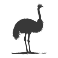 AI generated Silhouette ostrich animal black color only full body png