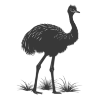 AI generated Silhouette ostrich animal black color only full body png