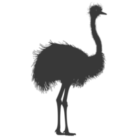 AI generated Silhouette ostrich animal black color only full body png