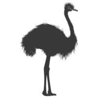 AI generated Silhouette ostrich animal black color only full body png