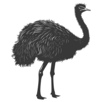 AI generated Silhouette ostrich animal black color only full body png