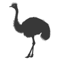 AI generated Silhouette ostrich animal black color only full body png