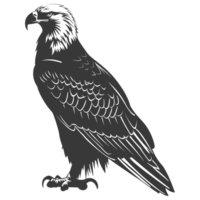 AI generated Silhouette eagle animal black color only full body png