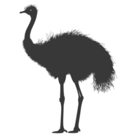 AI generated Silhouette ostrich animal black color only full body png