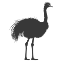 AI generated Silhouette ostrich animal black color only full body png