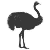 AI generated Silhouette ostrich animal black color only full body png