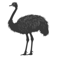 AI generated Silhouette ostrich animal black color only full body png