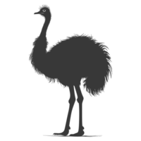 AI generated Silhouette ostrich animal black color only full body png