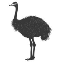 AI generated Silhouette ostrich animal black color only full body png