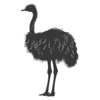 AI generated Silhouette ostrich animal black color only full body png