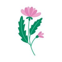 Nature pink flower. botanical element. floral bouquets. Vector flowers.