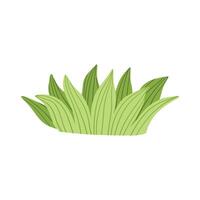 Green grass leaves. nature decoration vector