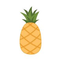 Pineapple fruit vector. vegetable. flat design vector