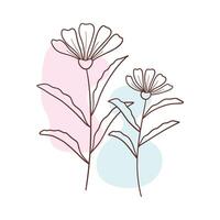 Minimalist botanical floral aesthetic element vector