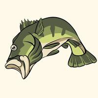 Largemouth Bass isolated editable file with separated layer vector