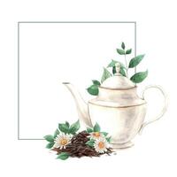 Watercolor frame with an antique teapot, a bunch of tea, mint and chamomile. The illustration is hand drawn on an isolated background. Drawing for menu design, packaging, poster, website, textile vector