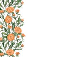 Watercolor botanical frame of orange marigold. Illustration is hand drawn, suitable for menu design, packaging, poster, website, textile, invitation, brochure, textile vector