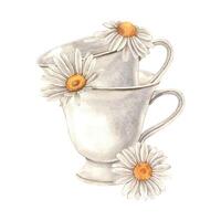 Watercolor composition with a ceramic mug and chamomile flowers. Illustration is hand drawn, suitable for menu design, packaging, poster, website, textile, invitation, brochure, textile vector