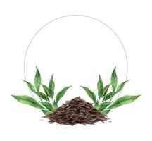 acuarela marco con un diapositiva de seco té y verde hojas. el ilustración es mano dibujado en un aislado antecedentes. dibujo para menú diseño, embalaje, póster, sitio web, textil, invitaciones vector