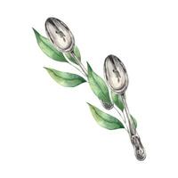 Watercolor composition with vintage metal spoons and lemon leaves. The illustration is hand drawn on an isolated background. Drawing for menu design, packaging, poster, website, textile vector