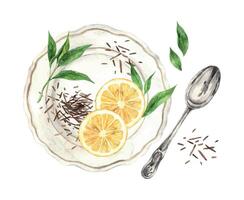 Watercolor composition, top view with plate, spoon, loose tea, spoon and lemon. Illustration is hand drawn, suitable for menu design, packaging, poster, website, textile, invitation, brochure, fabric vector