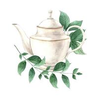 Watercolor composition with vintage teapot and fresh mint. The illustration is hand drawn on an isolated background. Drawing for menu design, packaging, poster, website, textile. vector