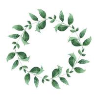 Watercolor botanical wreath made of mint leaves. The illustration is hand drawn on an isolated background. Drawing for menu design, packaging, poster, website, textile, brochure, graphic design vector