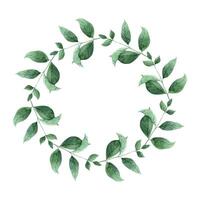 Watercolor botanical wreath made of mint leaves. The illustration is hand drawn on an isolated background. Drawing for menu design, packaging, poster, website, textile, brochure, graphic design vector