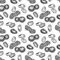 Seamless black and white pattern with peanuts. vector