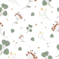 Pattern with eucalyptus and organic natural branches of dried flowers. Vector graphics