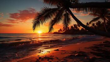 AI generated Tropical sunset, palm tree silhouette, tranquil beach, turquoise water generated by AI photo