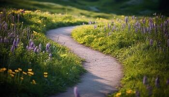 ai generado un hermosa verano prado con vistoso flores y verde césped generado por ai foto