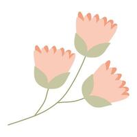 Pastel Orange Flower in Flat style Isolated on White background. Vector Icon Illustration. Botany Design element for Spring Card, Sticker pack, Holiday Decoration, Birthday, Womens day Postcard.