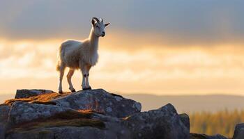 ai generado linda cabra en pie en prado, mirando a cámara, disfrutando naturaleza generado por ai foto