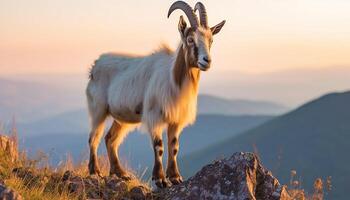 AI generated Cute goat standing on mountain, grazing in the meadow generated by AI photo