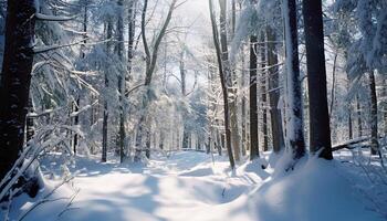 AI generated Winter landscape snow covered trees, tranquil beauty, fresh air, peaceful surroundings generated by AI photo