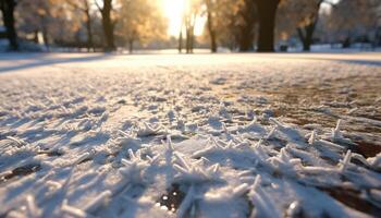 ai generado tranquilo escena invierno congelado belleza, luz de sol en Nevado árbol generado por ai foto