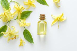 AI generated Ylang Ylang, The Essential Oil of Relaxation, isolated on white. generative ai photo