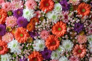 AI generated Flowers Wall Background with Amazing Red, Orange, Pink, Purple, Green and White Chrysanthemum Flowers ,wedding Decoration, Hand Made Beautiful Flower Wall Background photo