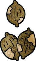 cartoon doodle nuts in shells png