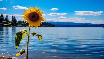 AI generated Vibrant sunflower reflects in tranquil water, showcasing nature beauty generated by AI photo