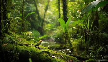 AI generated Bird perching on branch in lush green tropical rainforest generated by AI photo