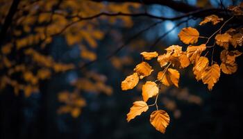ai generado vibrante otoño árbol, amarillo hojas, naturaleza belleza en multi de colores bosque generado por ai foto